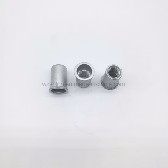 Flachkopf-Nietmutter mit rundem Körper auf Lager, 50 % Rabatt