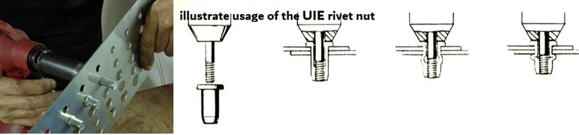 Large Head, Flat Head Rivet Nuts, Reduce Head. Thin Head Rivet Nuts, Small Csk Head, Csk Head Rivet Nut Knurled Body, Full Hex Body. Blind Rivet Insert Nuts.